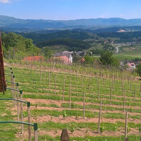 Vineyard Cottage Lustek Novo Mesto Bagian luar foto