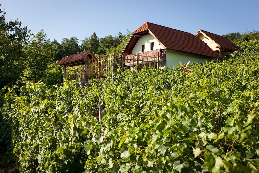 Vineyard Cottage Lustek Novo Mesto Bagian luar foto