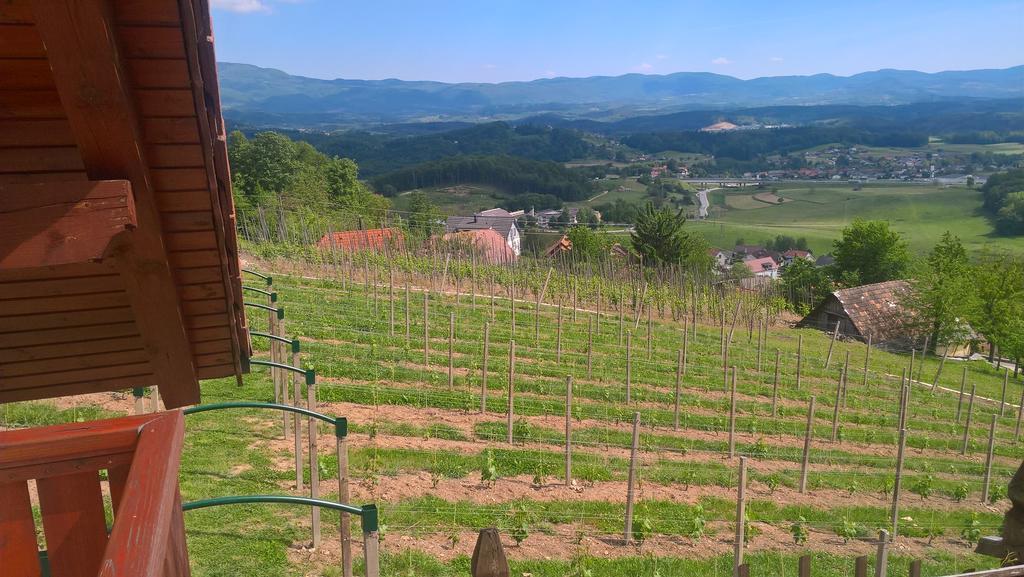 Vineyard Cottage Lustek Novo Mesto Bagian luar foto